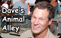 Dave's Animal Alley